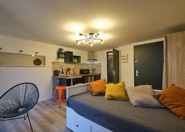 Meline - Bastide - Proche Place Carnot Proche Cite Medieval Apartment *